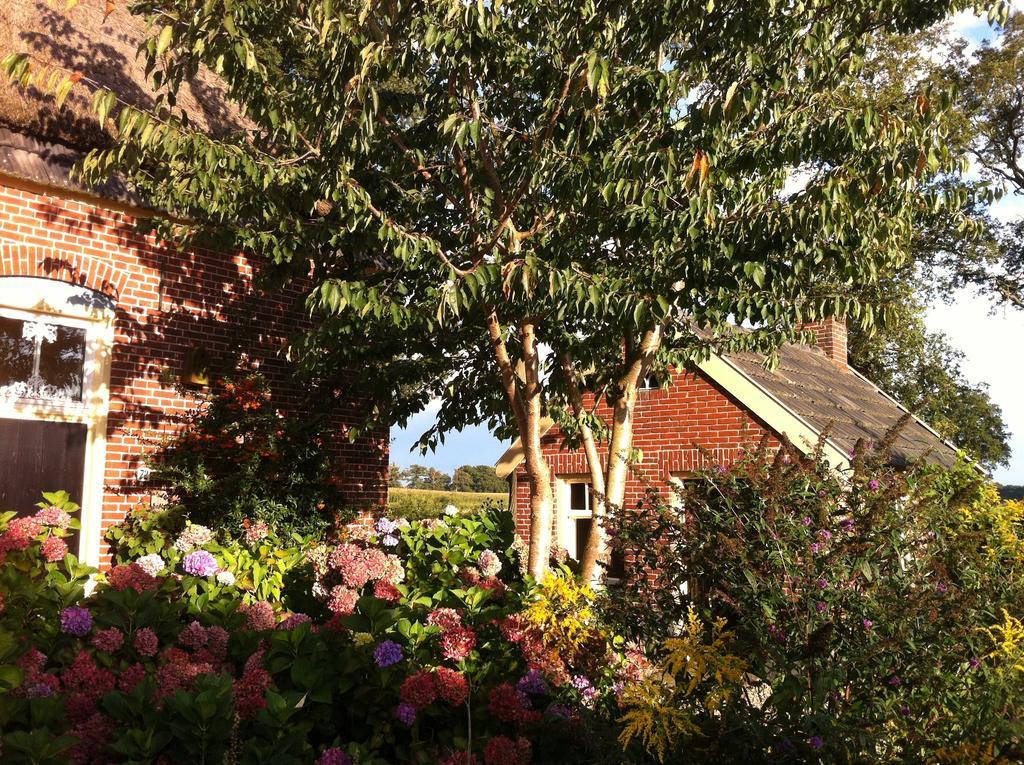De Bolderie Bed & Breakfast Markelo Exterior photo