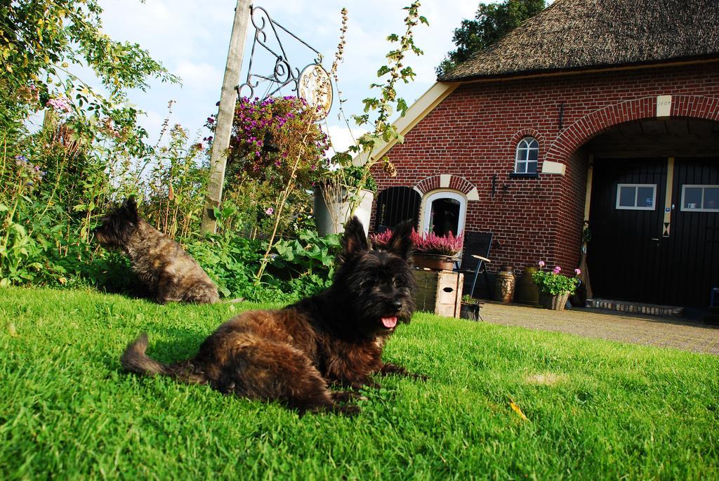 De Bolderie Bed & Breakfast Markelo Exterior photo