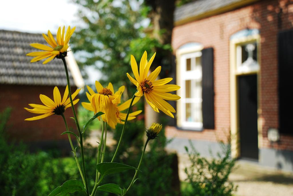 De Bolderie Bed & Breakfast Markelo Exterior photo